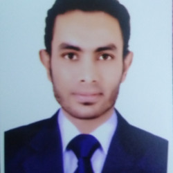محمد عبد المتعال محمد