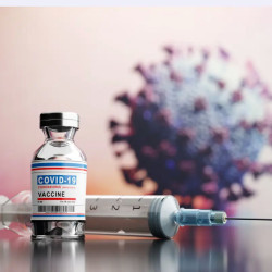 vaccine vaccine