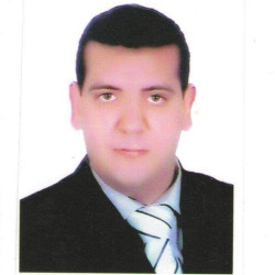 وليد علي عبد الحميد